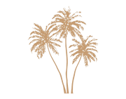 Everything Palm